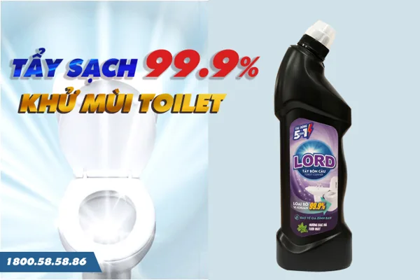 Cách Chọn Nước Tẩy Bồn Cầu: An toàn - Sạch - Hiệu quả cho cả gia đình