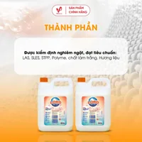 Nước Giặt LORD Công Thức Mới Hương Nước Hoa 9.36Kg